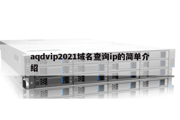 aqdvip2021域名查询ip的简单介绍