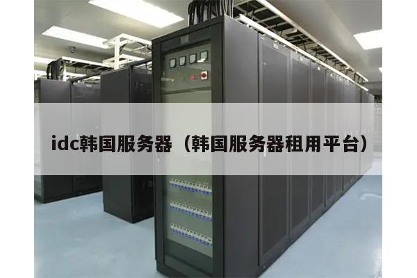 idc韩国服务器（韩国服务器租用平台）